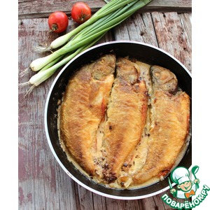 ����� � �������� �����