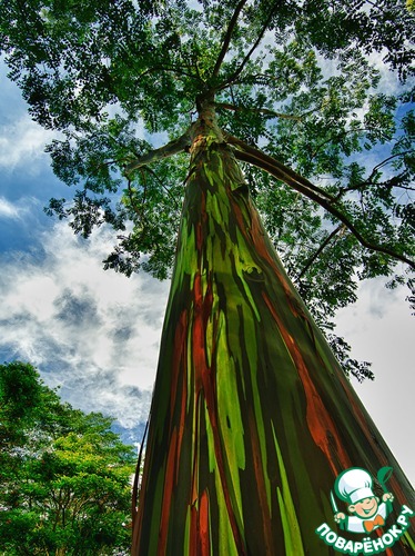 �������� ��������� �� �������