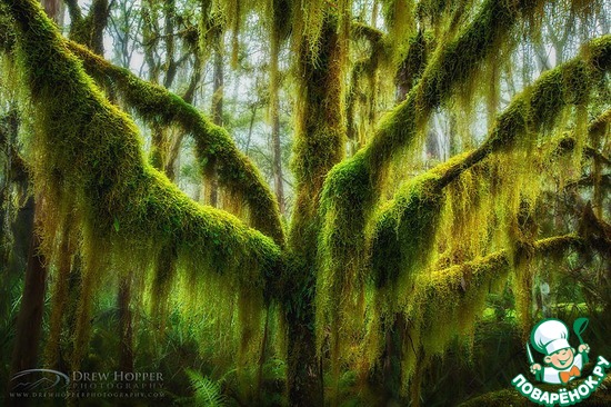 �������������� ���, ���������������� ��������� ����,  �������