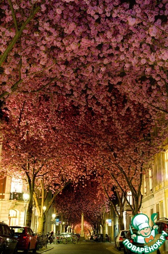 ���� �������� �������� ������� � �����, ��������