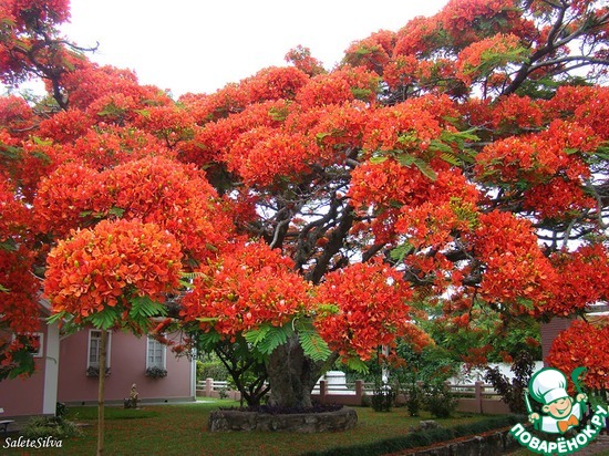 �������� ������ � ��������