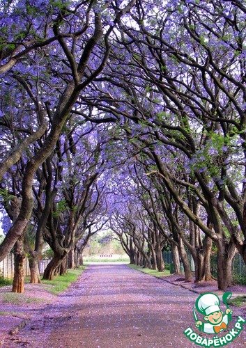 �������� ������������� ������� � ���������, ����� ������