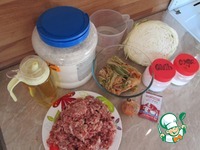 ���-�� �����������