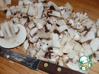 ������ � ����������� �����������