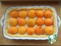 ��������-����������� �������� � ������� ���������� �����������