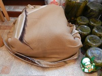 �������� � ����������� ���� �����������