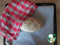 ���� �����-��������� � �������� �������� �����������