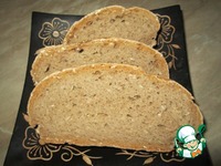 ���� �����-��������� � �������� �������� �����������