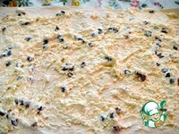 ������� ������ � ����������� �����������