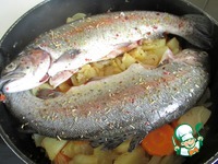 ������ �� ������� ������� � �������� �����������