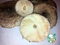 ������ � ����� �����������