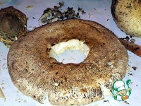 ������ � ����� �����������