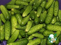 ����� "�������" �����������