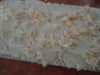 ��������� �������� � ���� � �������� �����������