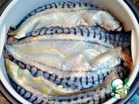 ��������, ���������� �� ��� �����������