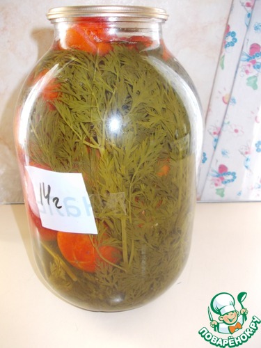 �������� � ��������