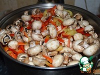 ����� �� ����������� � ������ �� ���� �����������