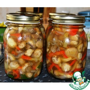 ����� �� ����������� � ������ �� ����