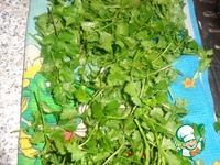 �������� ���� � ������ �� ���� �����������