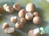 ������� ��������� �����������