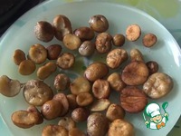 ������� ��������� �����������