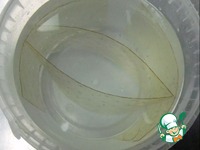 ���������-��������� ���� �����������