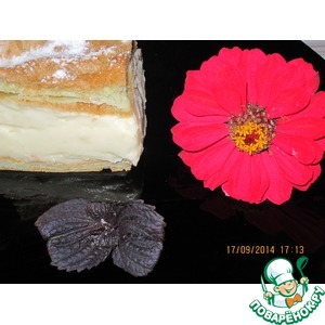 �����-���� "��������"