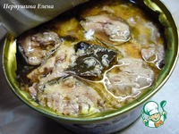 ������-���������� ������� � �������� �����������