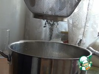 ����� ����������� �����������