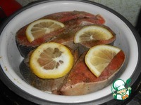 ����� �� ���� �����������