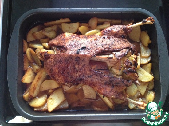 �������� ����