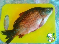 �����, ���������� � ������� �����������