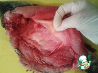 �����, ���������� � ������� �����������