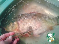 �����, ���������� � ������� �����������