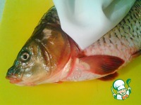 �����, ���������� � ������� �����������