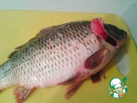 �����, ���������� � ������� �����������