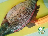 �����, ���������� � ������� �����������