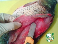 �����, ���������� � ������� �����������