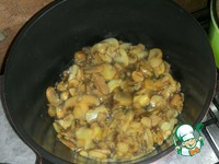 ������ � �������, �������, ������� � ����� �����������