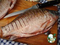 ���������� ������ � ���������-��������� ����� �����������