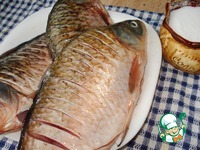 ���������� ������ � ���������-��������� ����� �����������