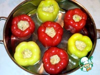 ����� ������������� � ��������� �����������