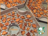 ����� ��������� �����������