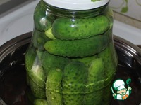 ������ "������" �����������