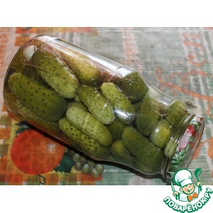 ������ "������"