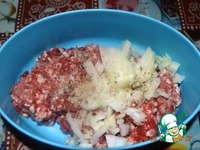 ������������� �������� �����������