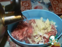 ������������� �������� �����������