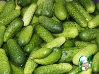 ������ "������" �����������