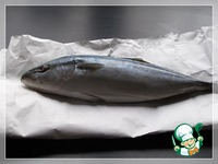 ������ ����������� �����������