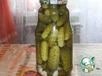 ������ "������" �����������